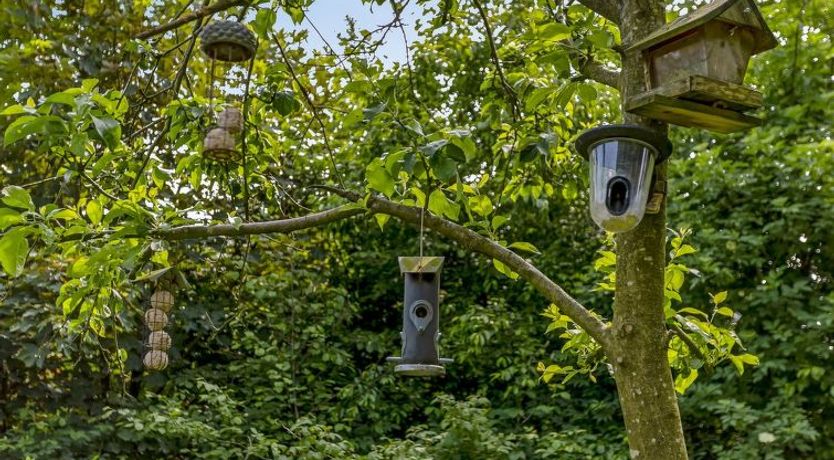 Photo of "Ejvind" - 30km from the sea