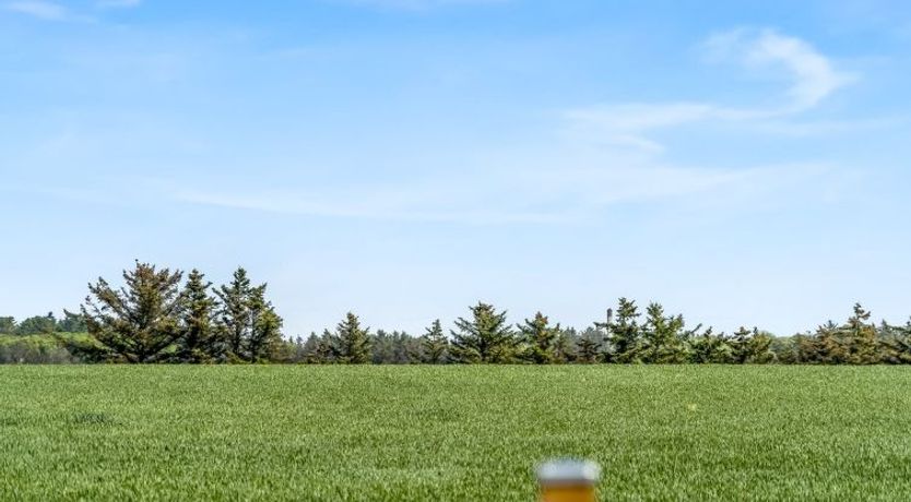 Photo of "Hans" - 1.2km from the sea