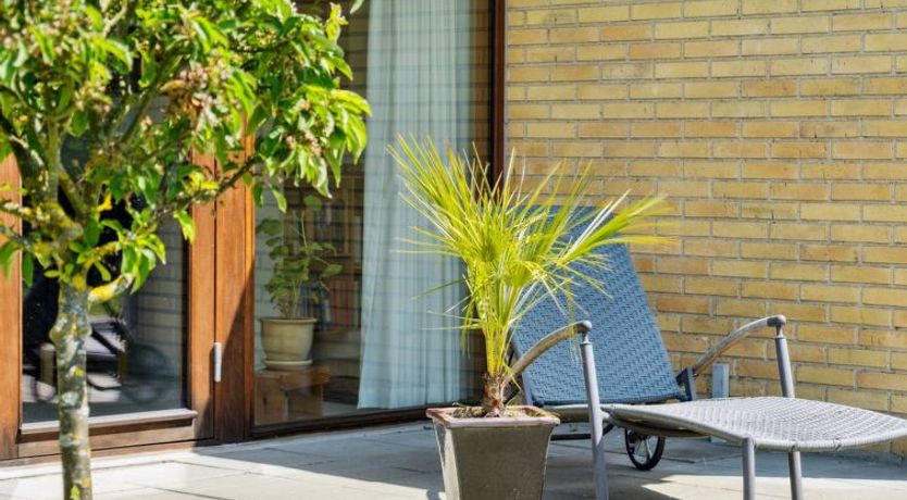 Photo of "Mechthild" - 700m from the sea