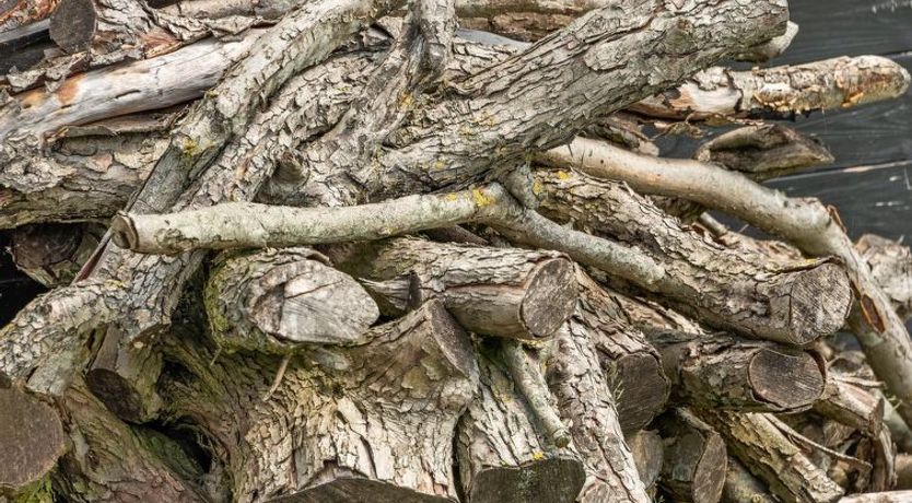 Photo of "Rether" - 400m from the sea