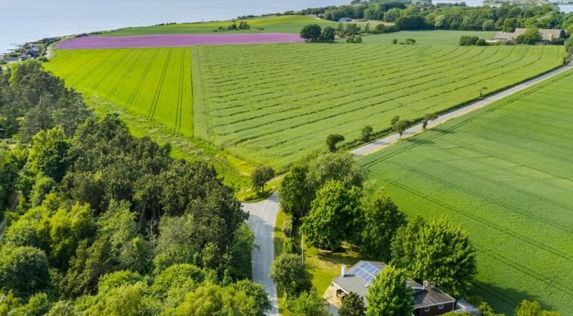 Photo of "Swipdagh" - 150m from the sea