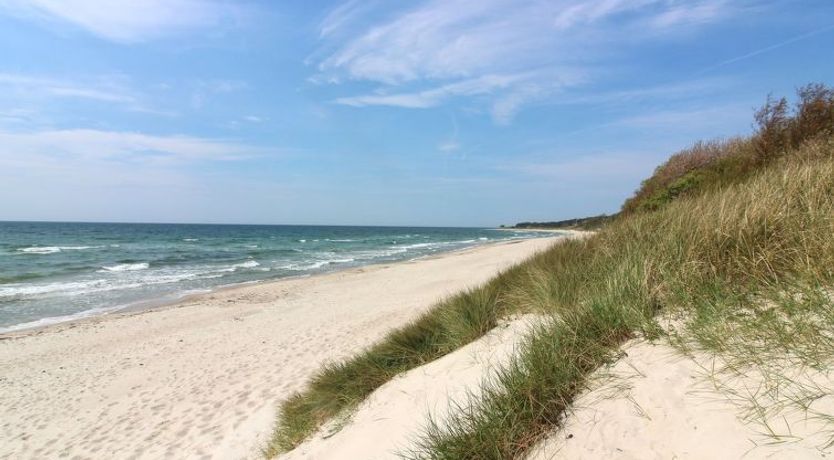 Photo of "Tove" - 350m from the sea