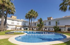Photo of palm-beach