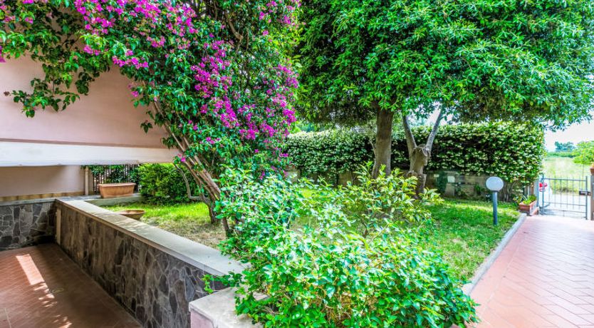 Photo of Piccolo Leccio