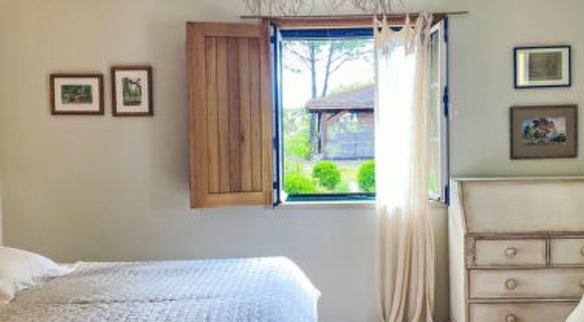 Photo of Entre as Árvores