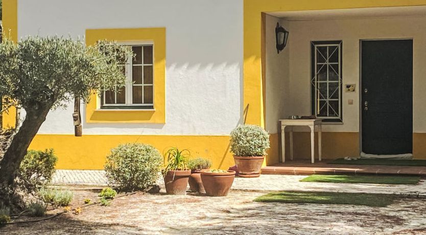 Photo of Entre as Árvores