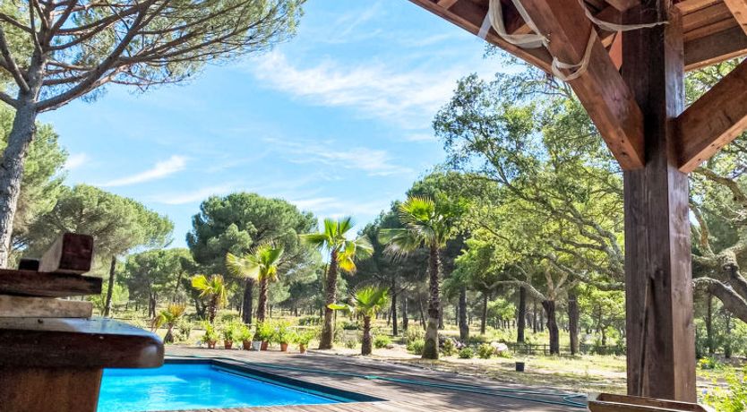 Photo of Entre as Árvores