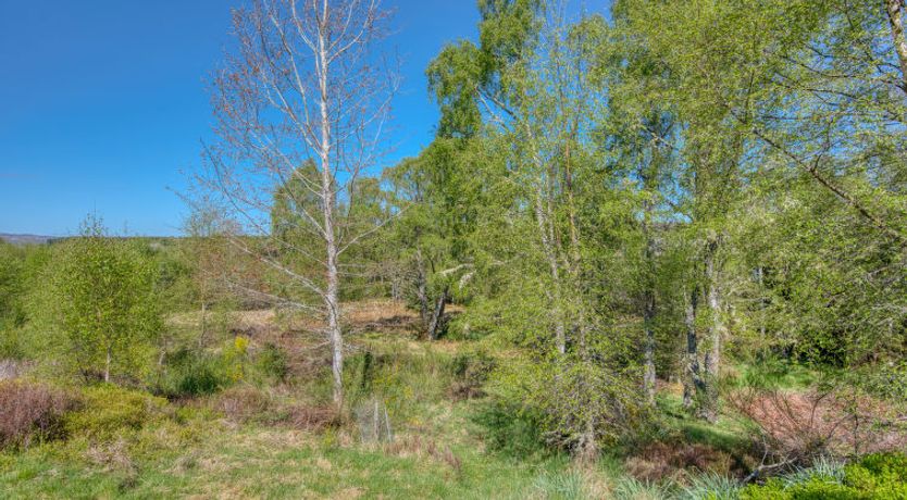 Photo of Rowan Chalet