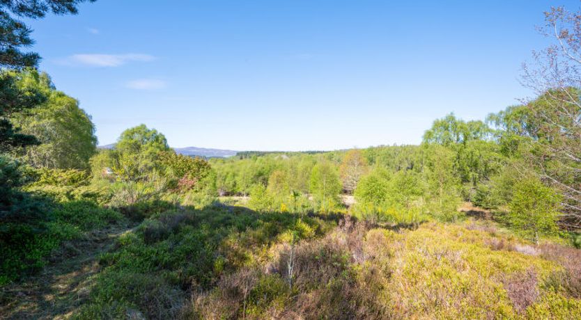 Photo of Rowan Chalet