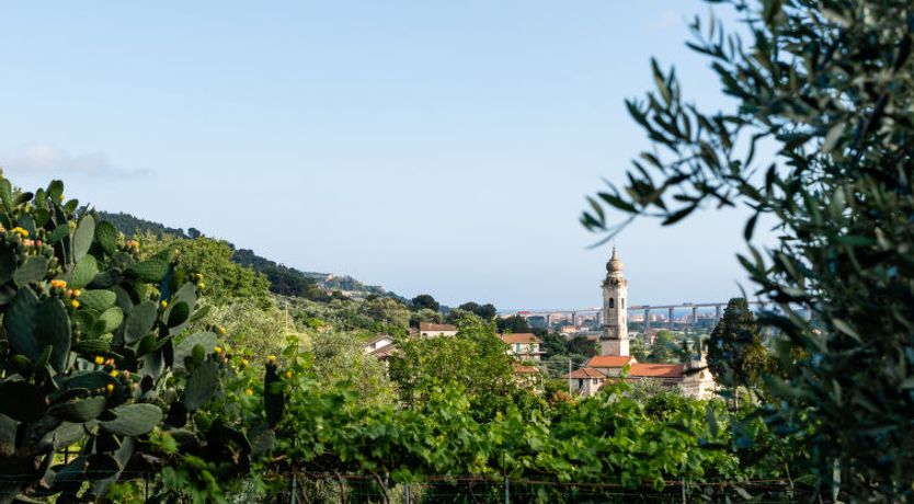 Photo of La Bouganville - Rustico con giardino