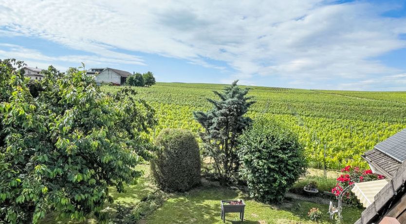 Photo of Weinbergblick