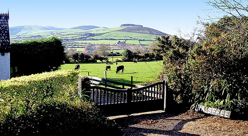 Photo of 1 Bed in Woodenbridge