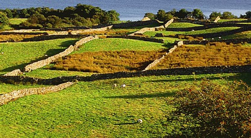 Photo of 2 Bed in Maam