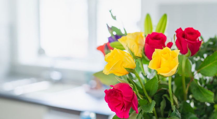 Photo of The Birches