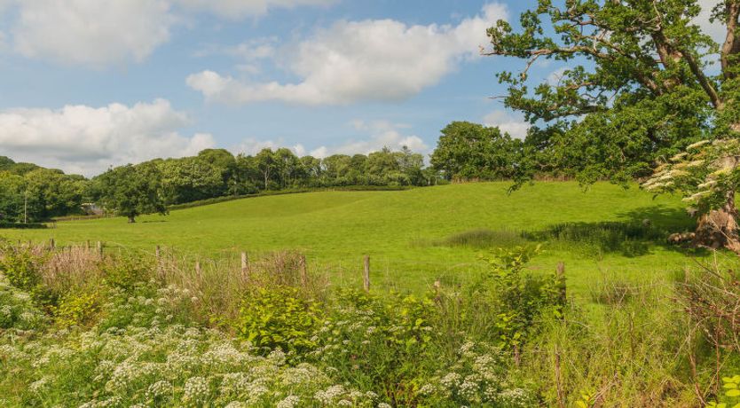Photo of The Birches