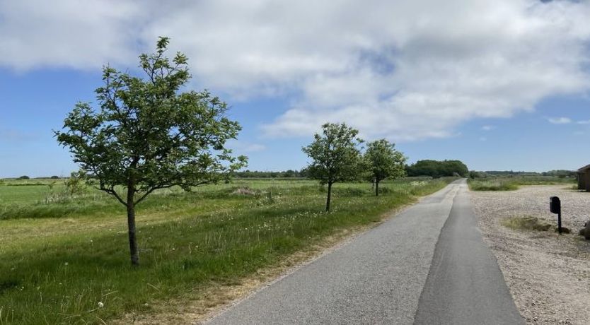 Photo of "Kukka" - 16km from the sea