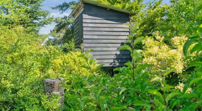 Photo of "Alfa" - 350m from the sea