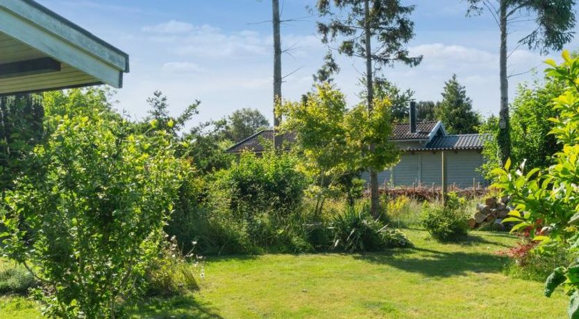 Photo of "Alfa" - 350m from the sea