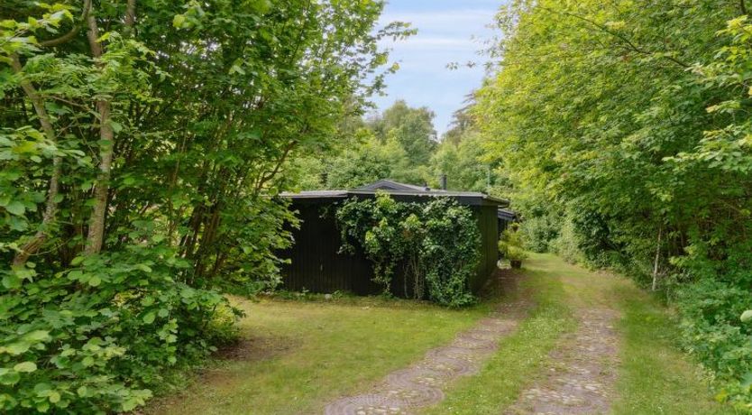 Photo of "Nette" - 100m from the sea