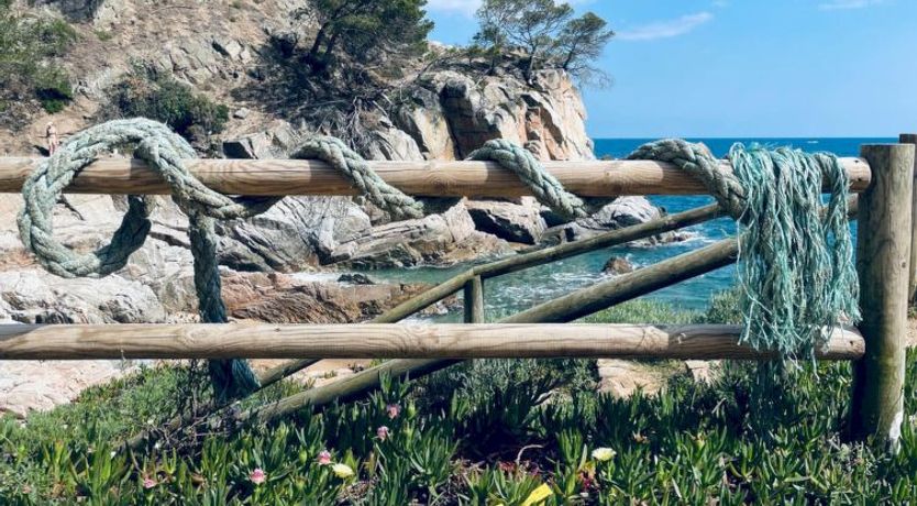 Photo of Loomins studio