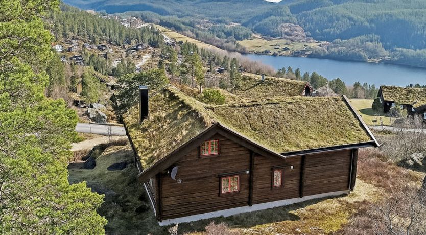 Photo of Koselia