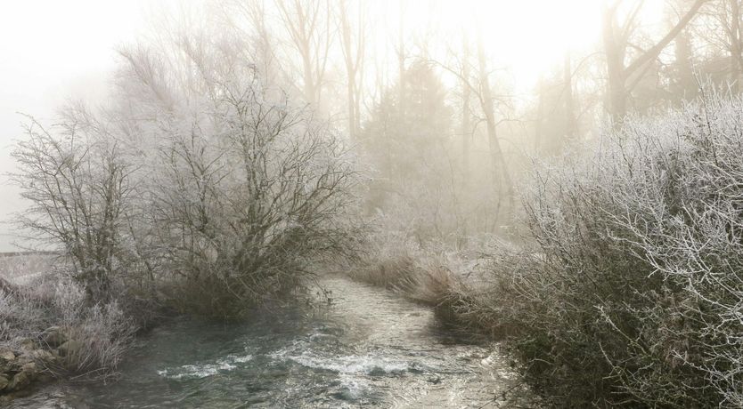 Photo of Minster Meadows