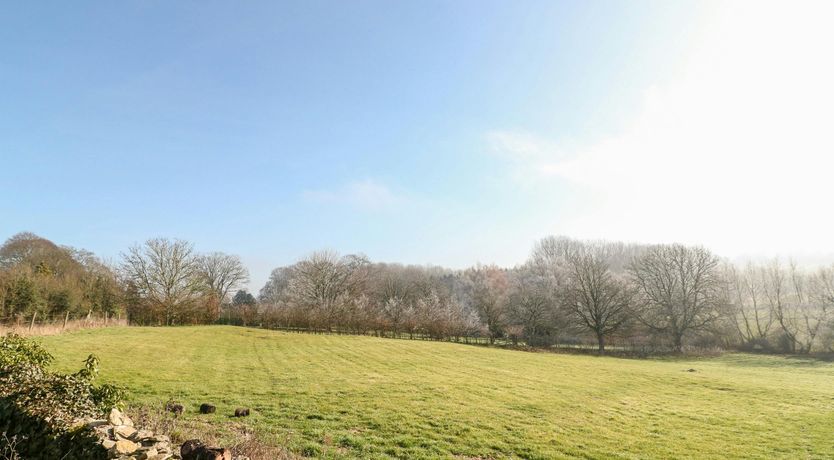 Photo of Minster Meadows