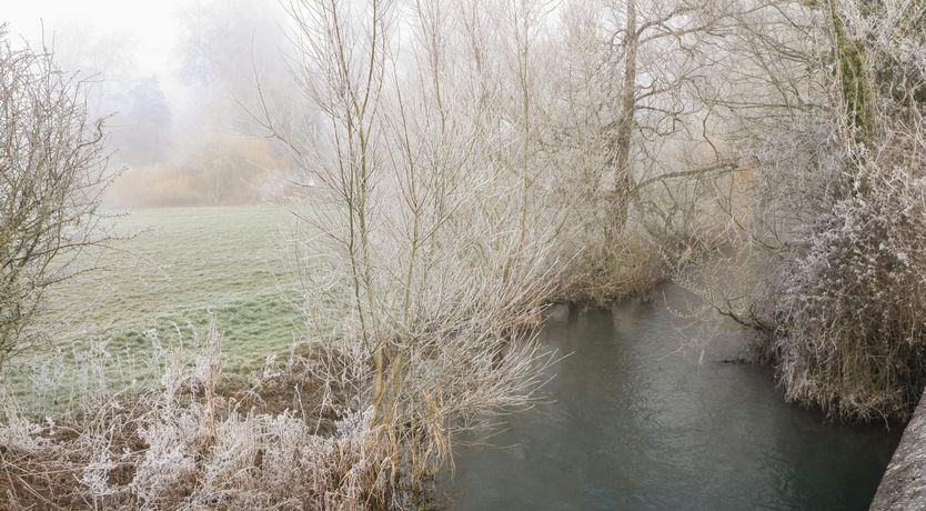 Photo of Minster Meadows