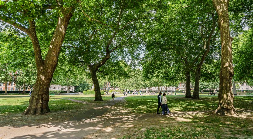 Photo of Quiet Jewel