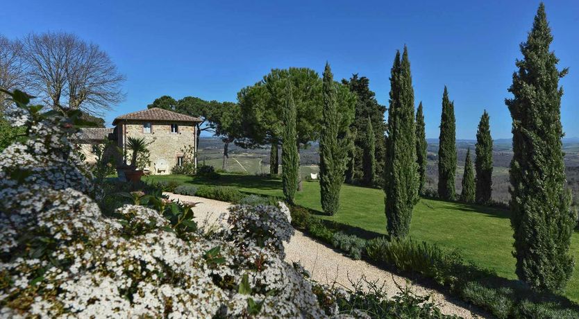 Photo of Super Tuscan