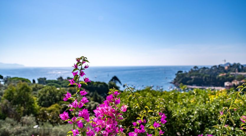 Photo of A Seaside Getaway