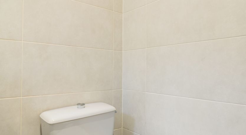 Photo of Flowers of Forever