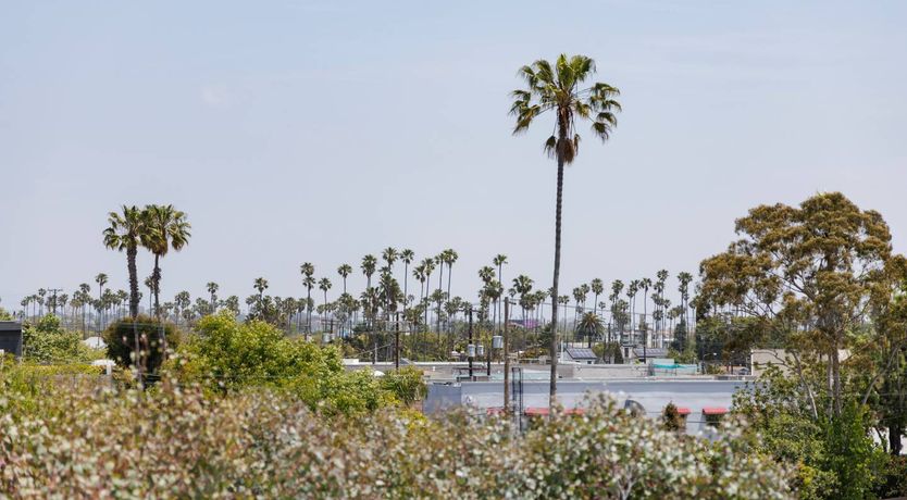 Photo of Cali Sunrise