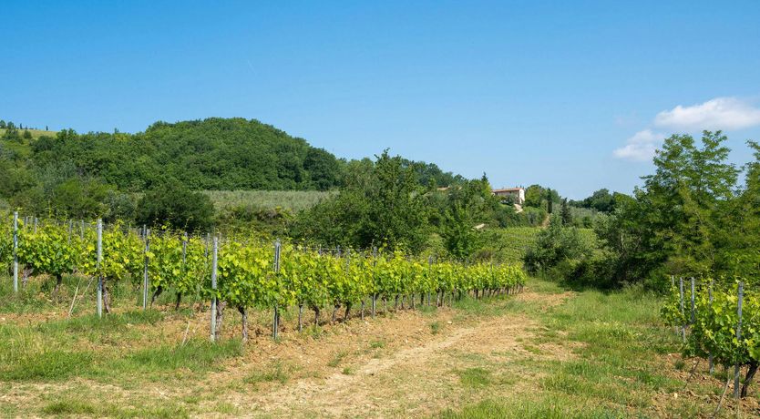 Photo of Chianti Heart