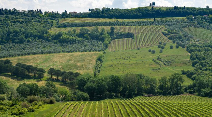 Photo of Chianti Heart