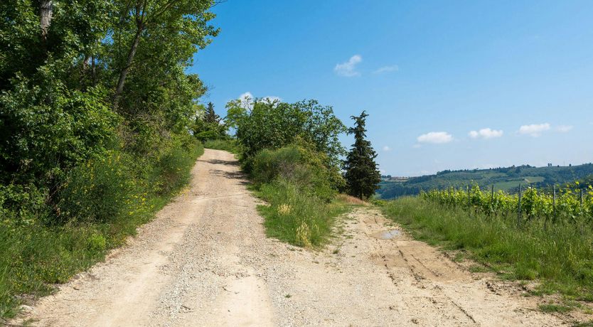 Photo of Chianti Heart