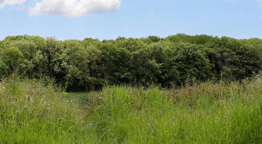 Photo of The Kent Downs