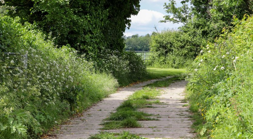 Photo of The Kent Downs