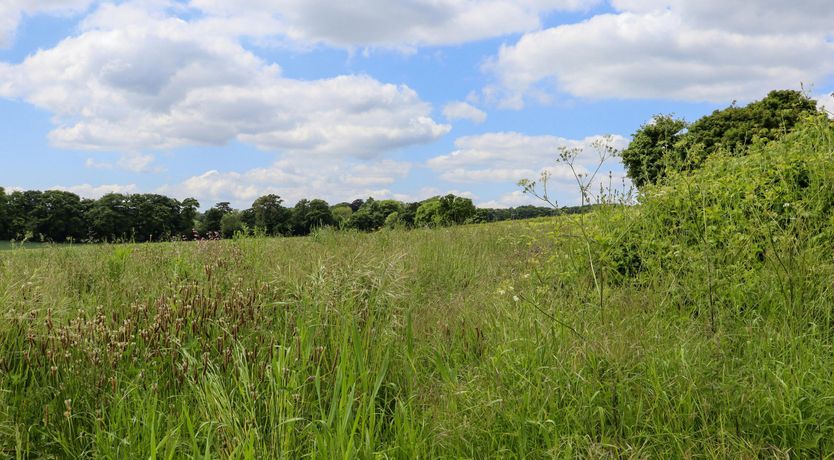 Photo of The Kent Downs