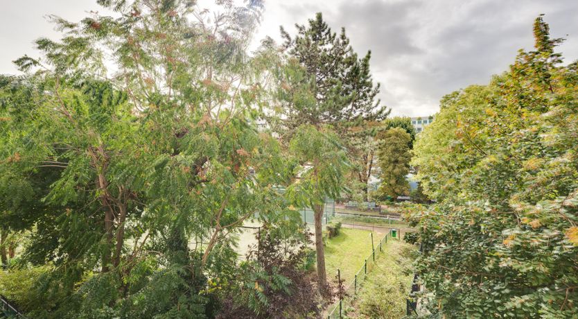 Photo of The Light Muse