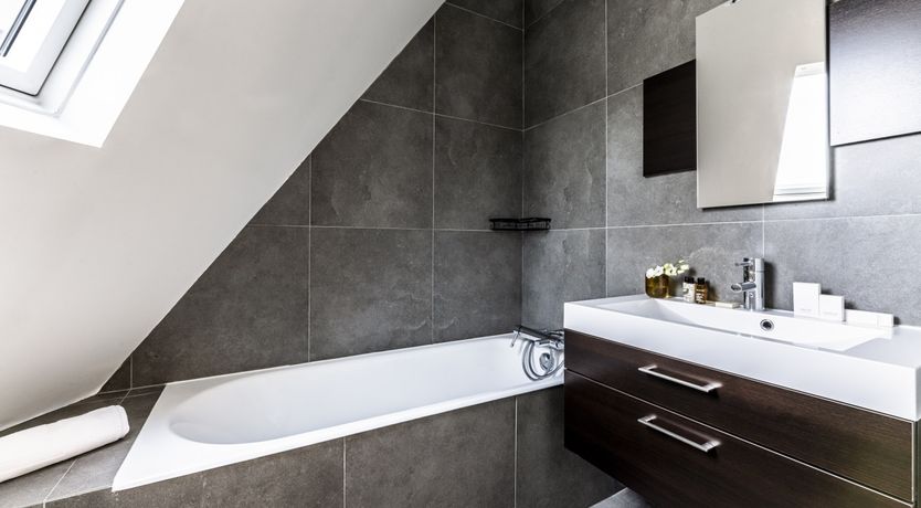 Photo of Elegant Perch