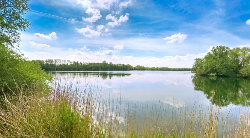 Photo of Glistening Lake