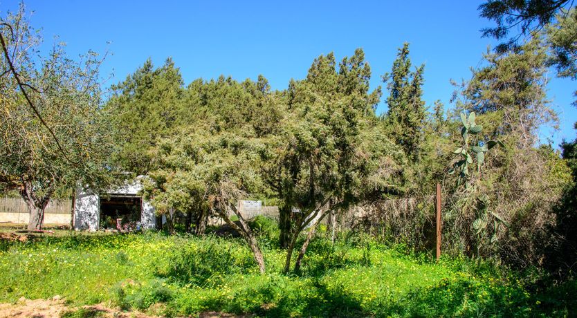 Photo of Xenophilius