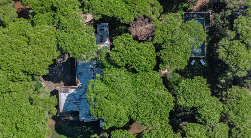 Photo of Quiet & Serene