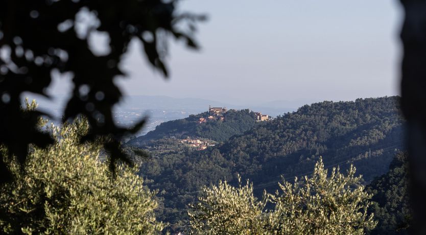 Photo of Hilly Tuscany