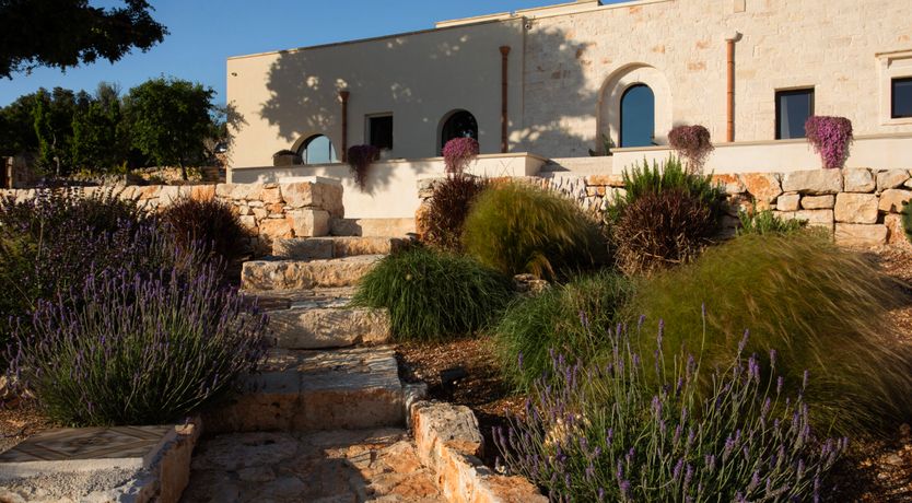 Photo of Olive Treasures