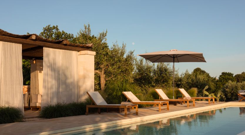 Photo of Olive Treasures