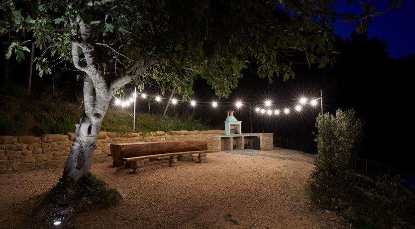 Photo of A Rustic Vision