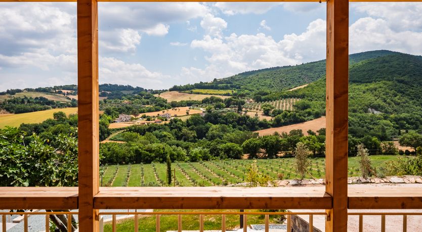 Photo of A Rustic Vision