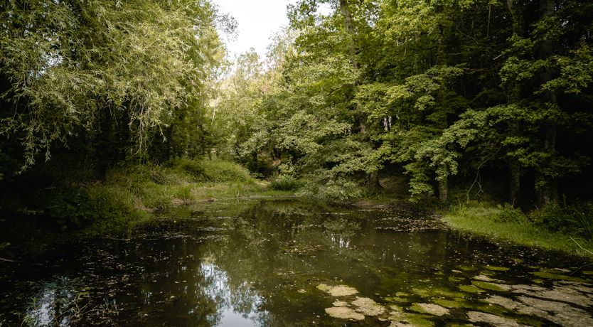 Photo of Oxfordshire's Finest